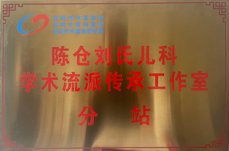 传承工作室分站