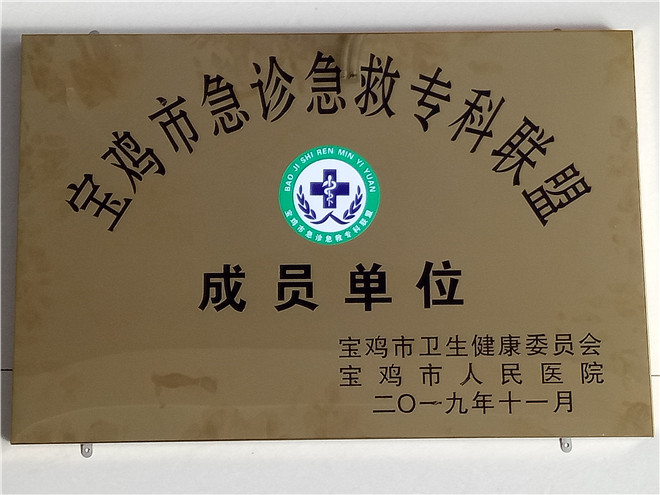 急诊急救专科联盟